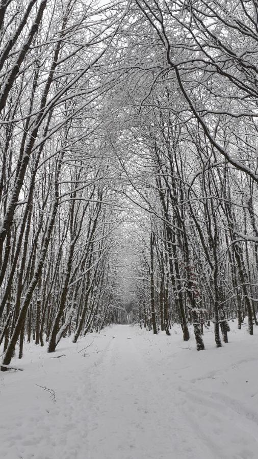 Mia * Winterberg